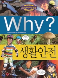 WHY? 생활안전